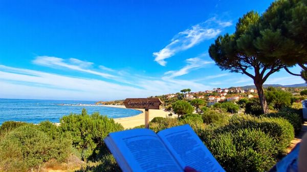 Guide des méthodes de dératisation à Cagnes-sur-Mer pour particuliers